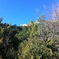 IMG_4619 (3)