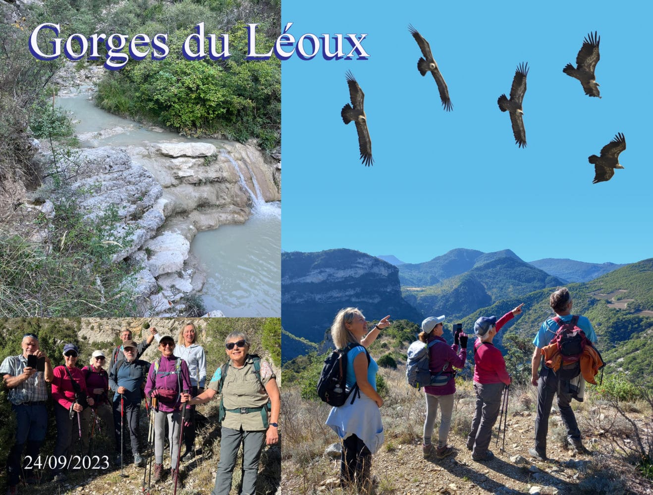 09 23 3 Vautours