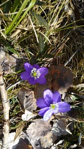 20170309_113704_resized
