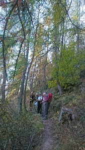 l'Estang (18)