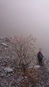 Col de Chétive (11)