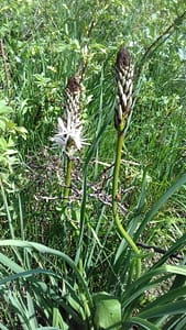 20190604_105543