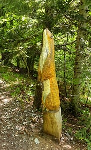La Marmotte à Charance