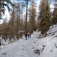 DSCN3226a