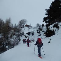 DSCN3254a