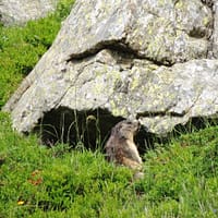 Lac Lautier (16)