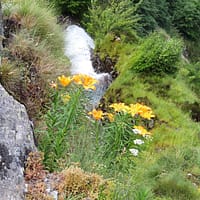 Lac Lautier (9)