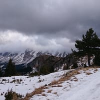 DSC_1919