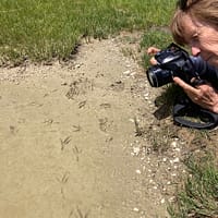 IMG_1228