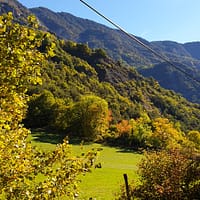 III Vue