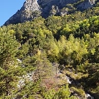 VII Vue sur montagne