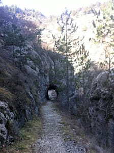 IMG_4353 (2)