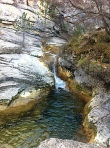 IMG_4357 (3)