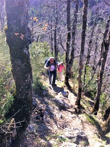 IMG_4623 (3)