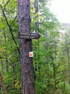 IMG_5004 (4)