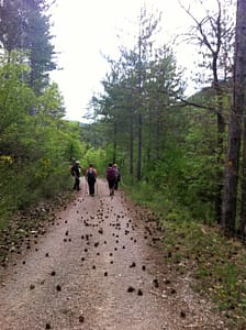 IMG_5005