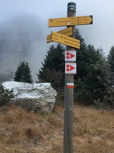 IMG_5801
