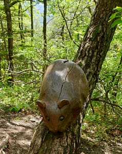 La Souris à Charance