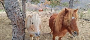 IMG_20231221_140801