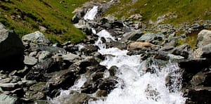 torrent-de-montagne