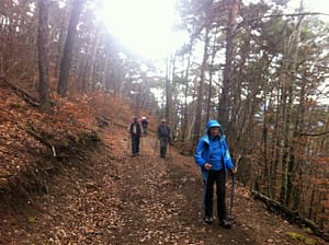 IMG_4394 (2)