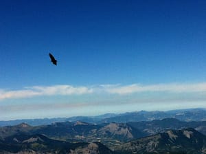IMG_5307 (4)