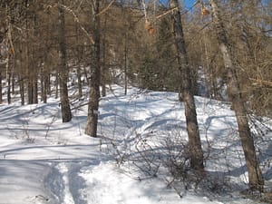 IMG_0051