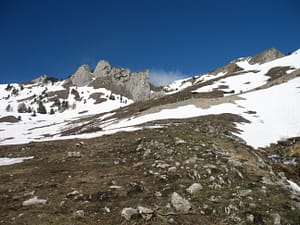 IMG_0212