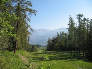 IMG_0604
