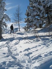 IMG_0288