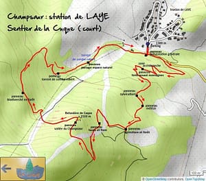 laye_cc_cuque_carte