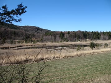 IMG_0019