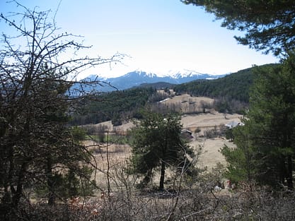 IMG_0001