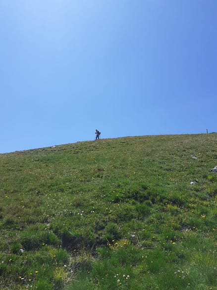 IMG-20210723-WA0005