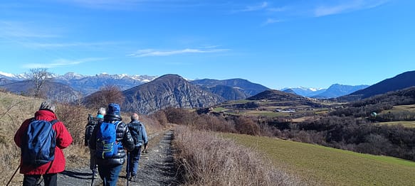 IMG_20240220_104725