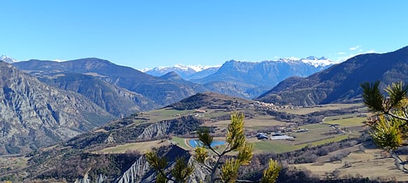 IMG_20240220_114522