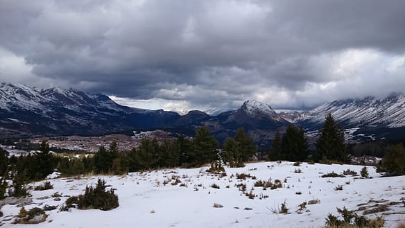 DSC_1920