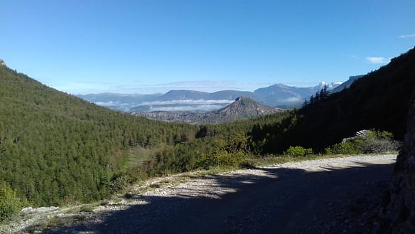 La forêt de Jubéo