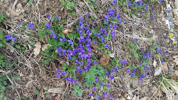 20190402_121039
