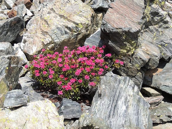 Lac Lautier (19)